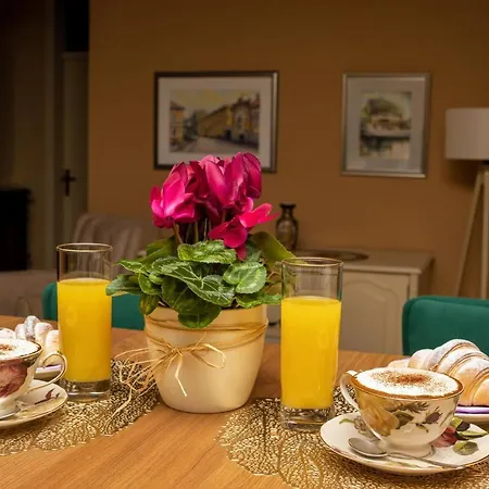 Elegant Apartment Visoko